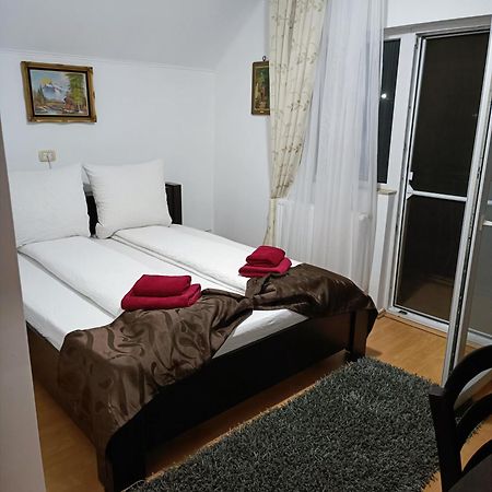 Family Pension Arad Zewnętrze zdjęcie