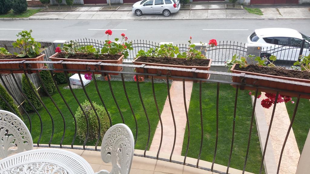 Family Pension Arad Zewnętrze zdjęcie