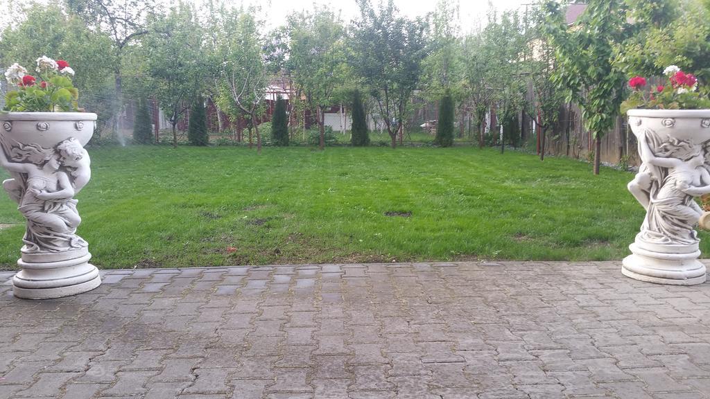 Family Pension Arad Zewnętrze zdjęcie