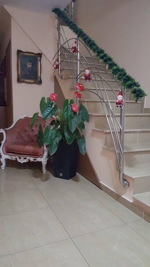 Family Pension Arad Zewnętrze zdjęcie